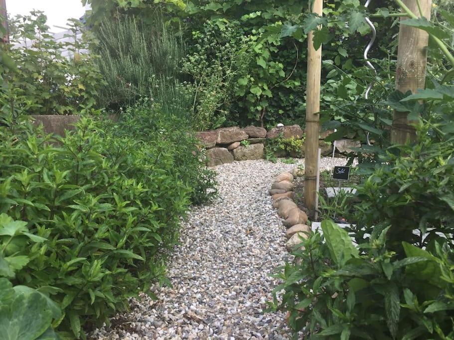 Privat Apartment- Near Strasbourg, Baden Baden Apartment