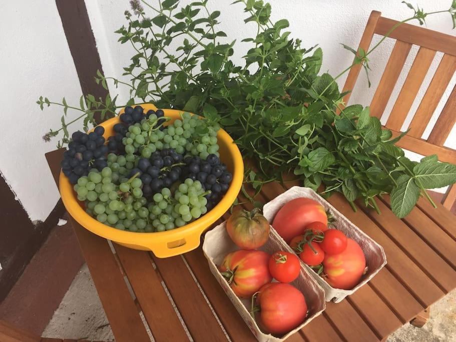Privat Apartment- Near Strasbourg, Baden Baden *