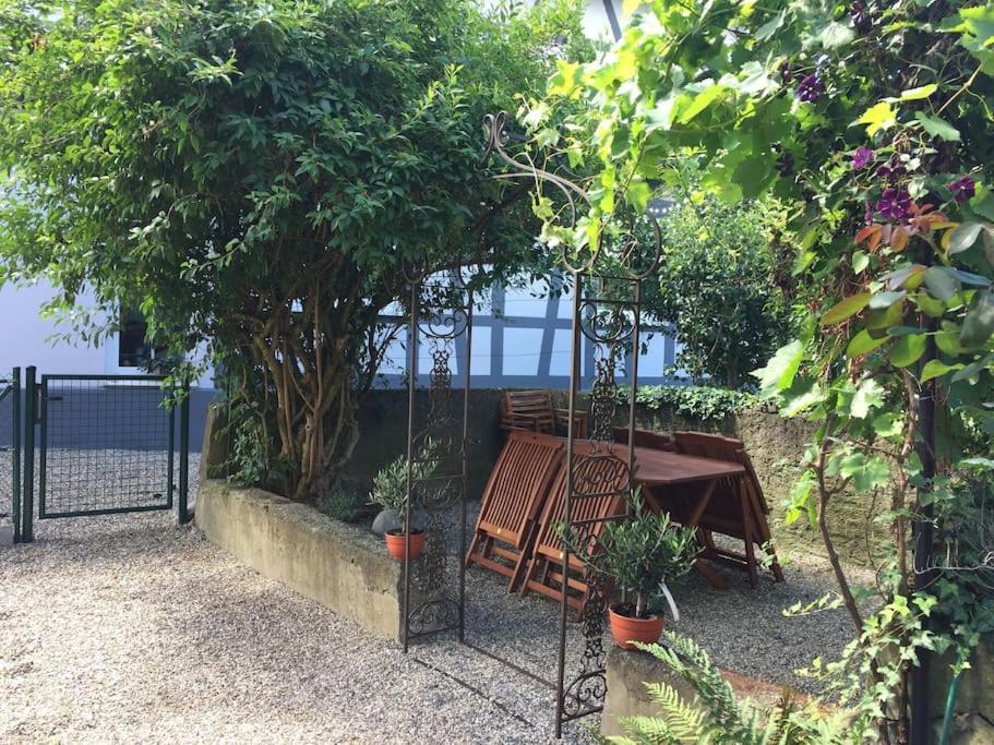 Privat Apartment- Near Strasbourg, Baden Baden Appartement Rheinau